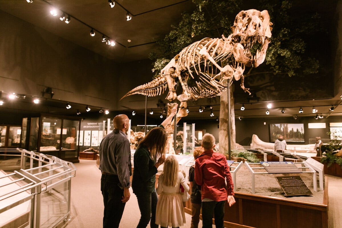 Family looking at a T-rex skeleton at the Museum of the Rockies
