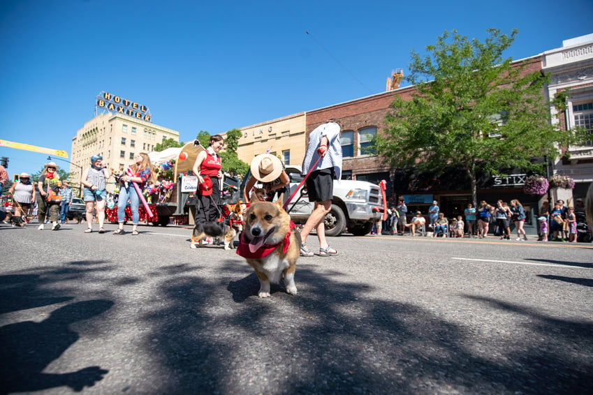 sweet pea parade in downtown bozeman montana