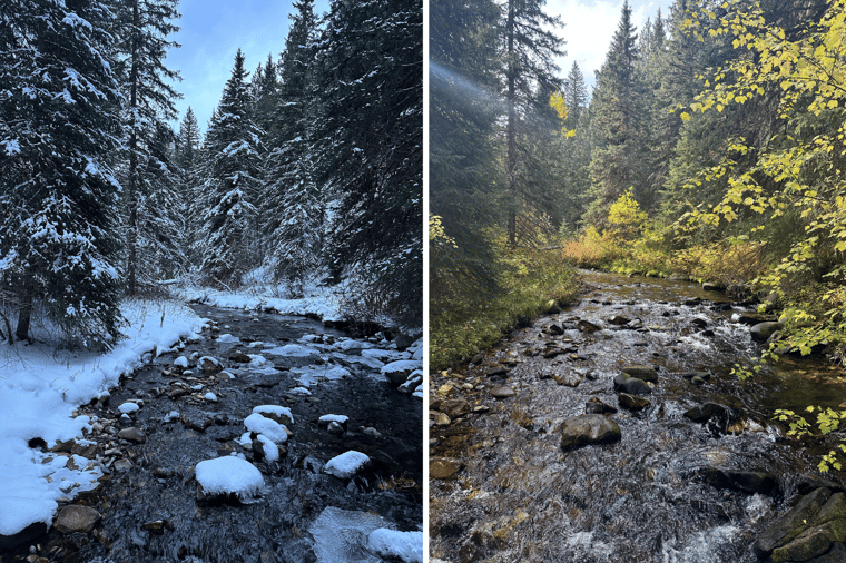 South Cottonwood Trail in Bozeman, Montana in winter and fall