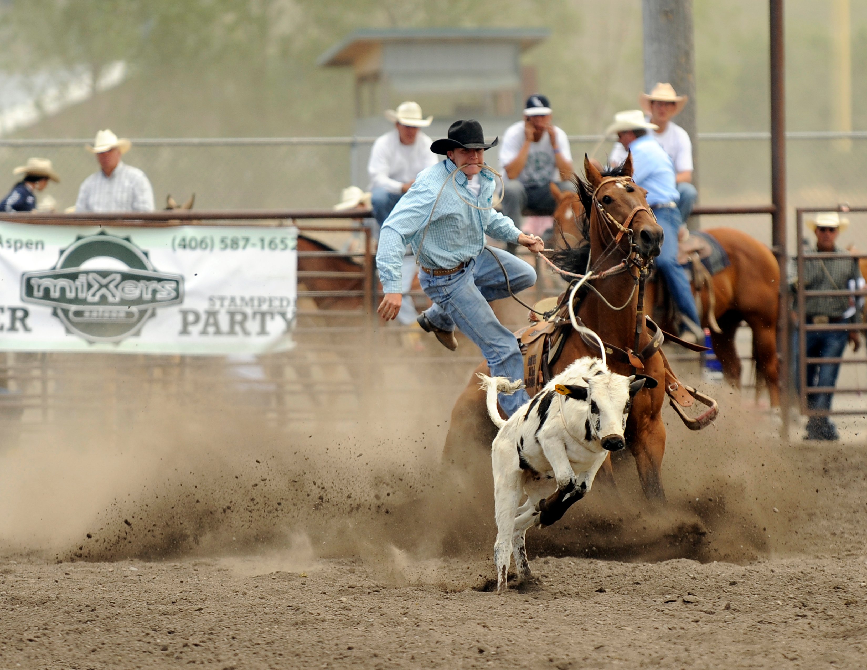 Steer Wrestle