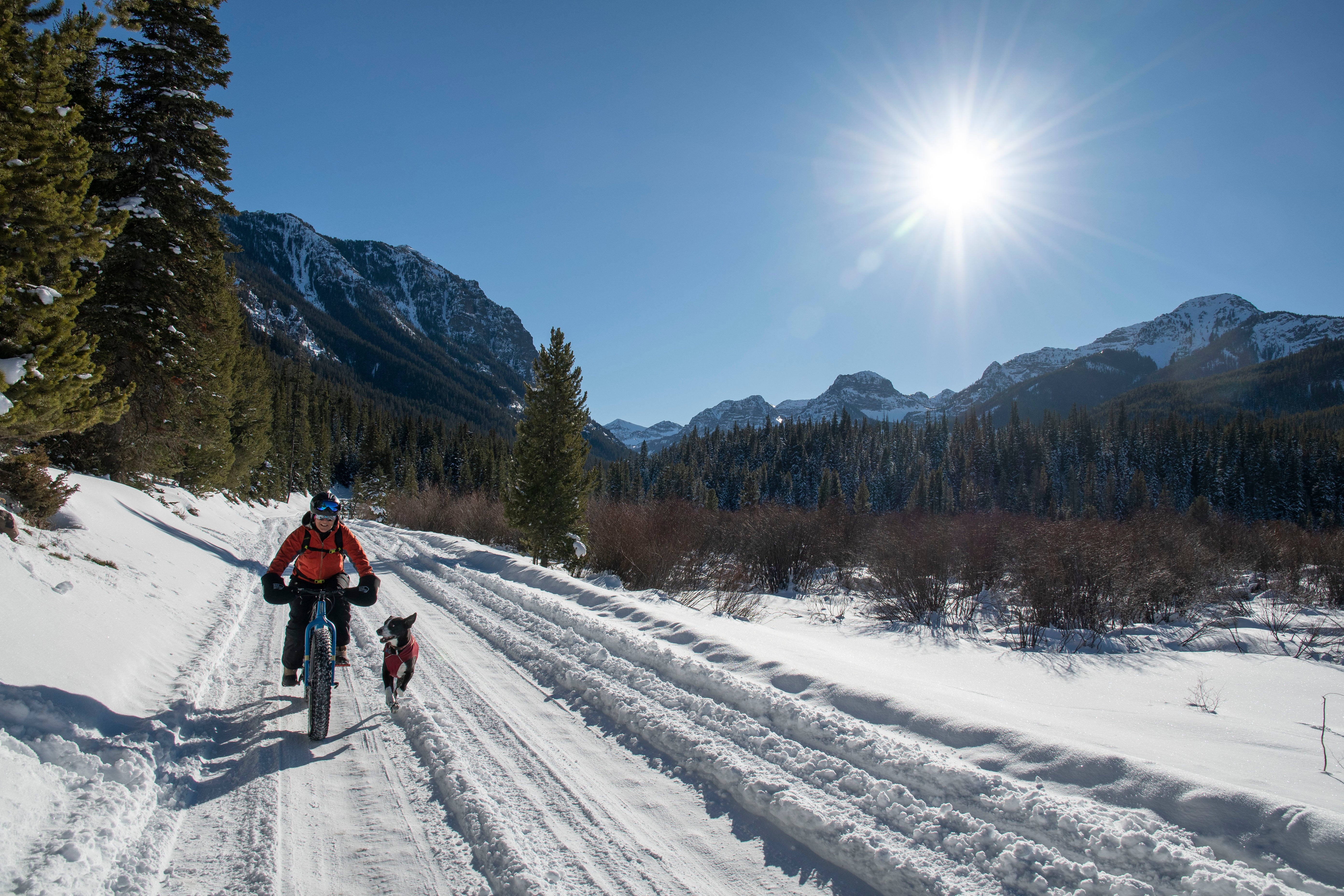 A person riding a fat bike with their dog running alongside them on a sunny day in winter at Hyalite