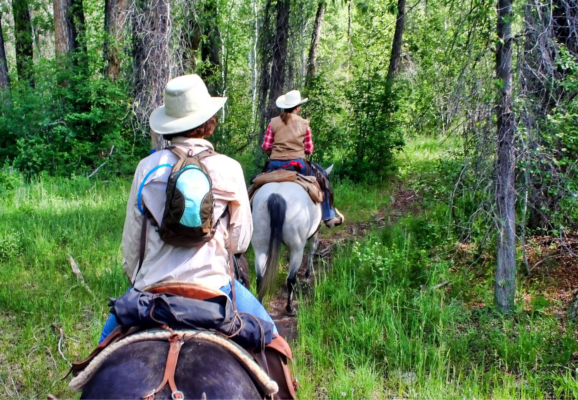 VBZN_Blog_8 Places to Go Horseback Riding Around Bozeman