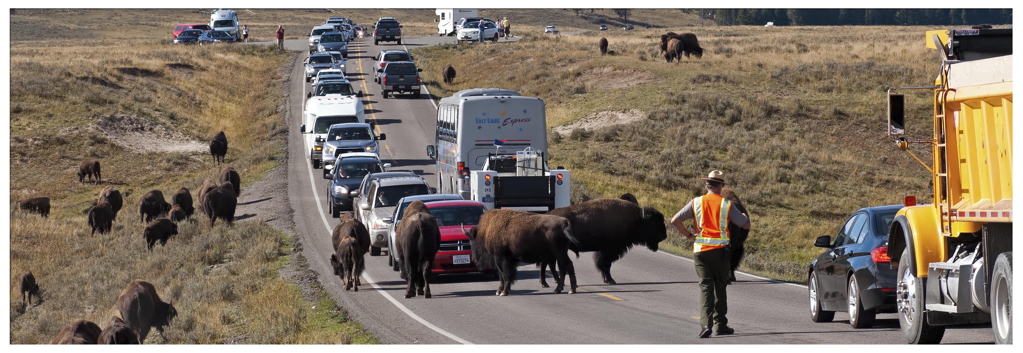 How To Get To Yellowstone National Park From Bozeman MT   IStock 458300069 C 