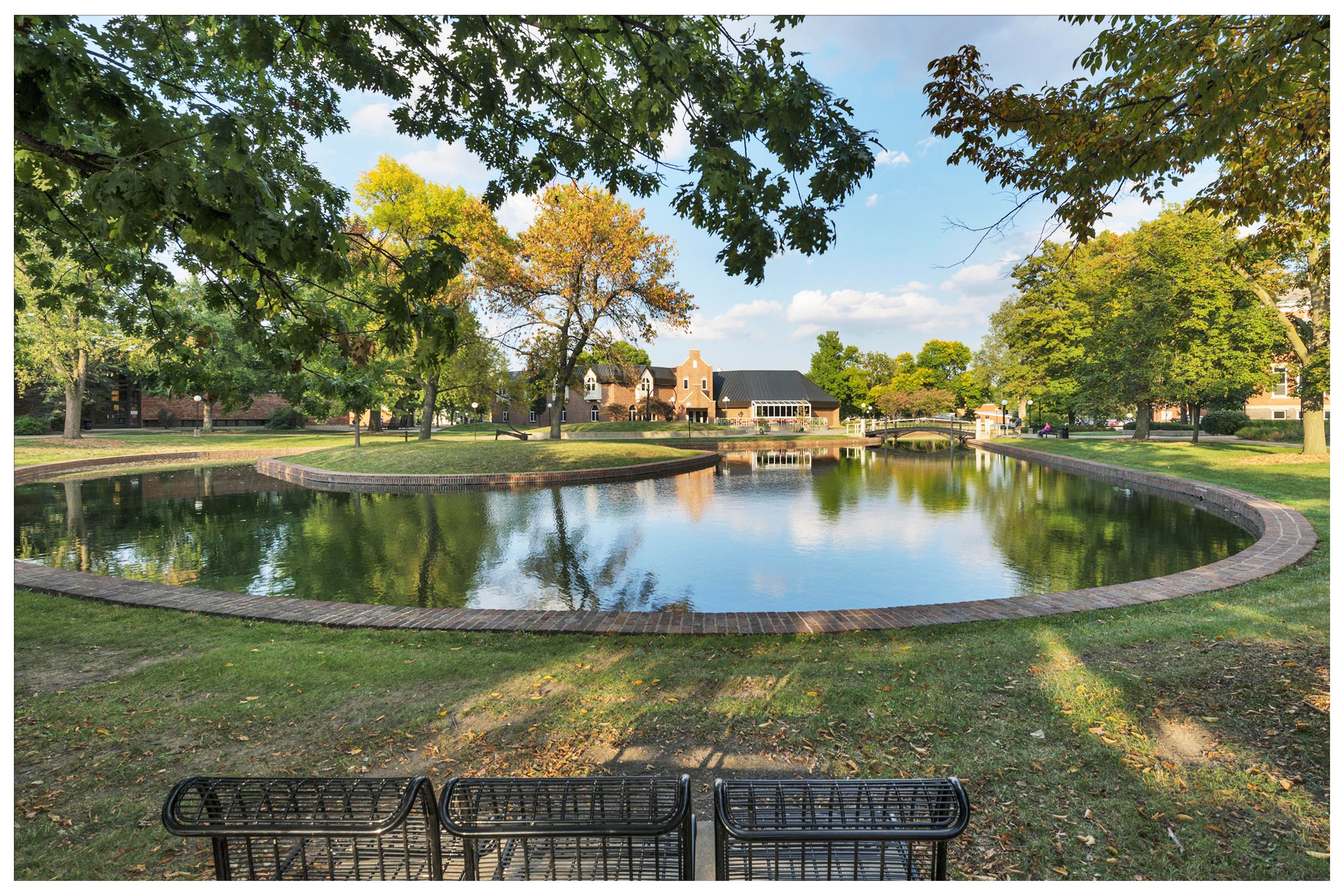 msu-duck-pond_c