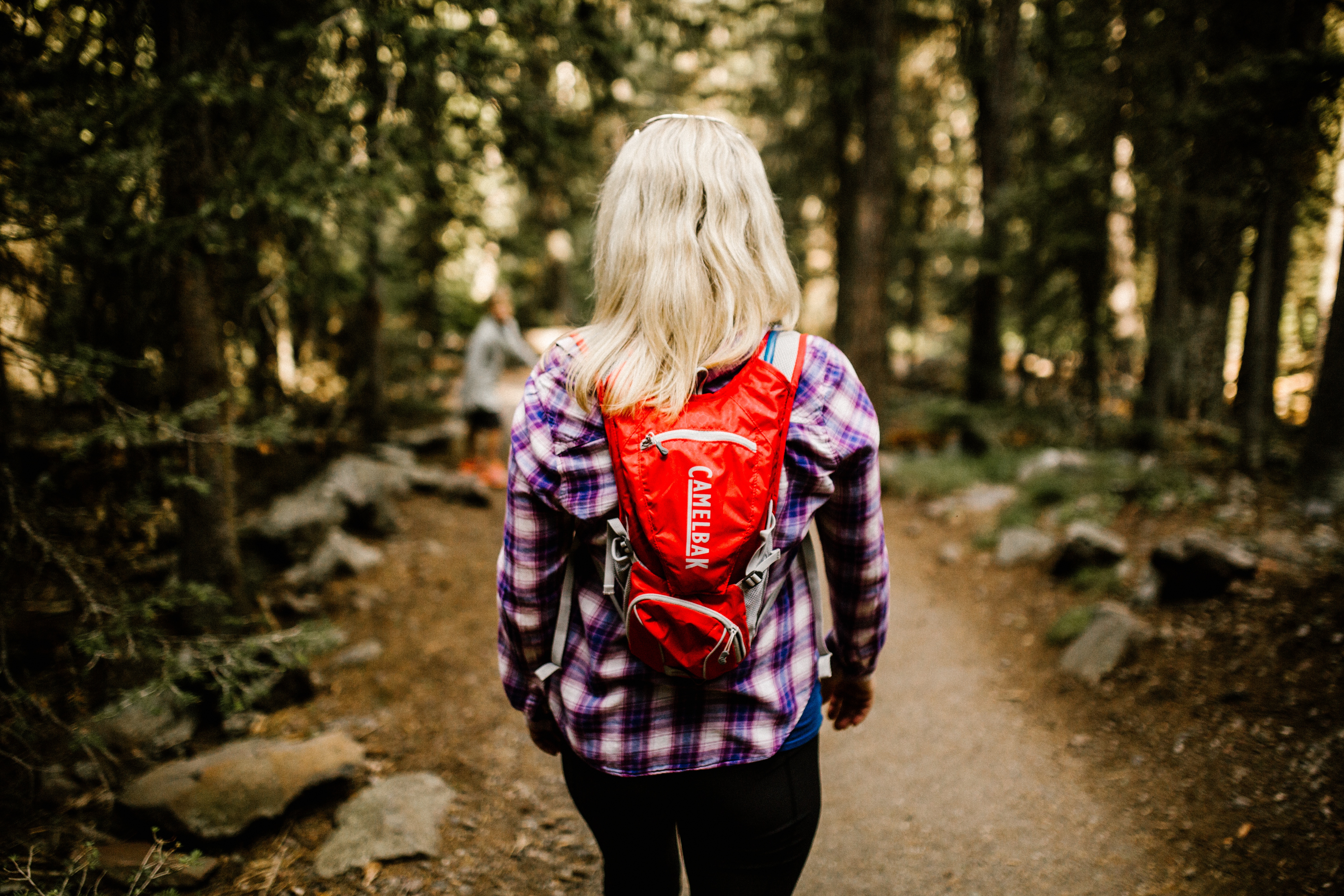 Bozeman Hikes: Hiking the "M"