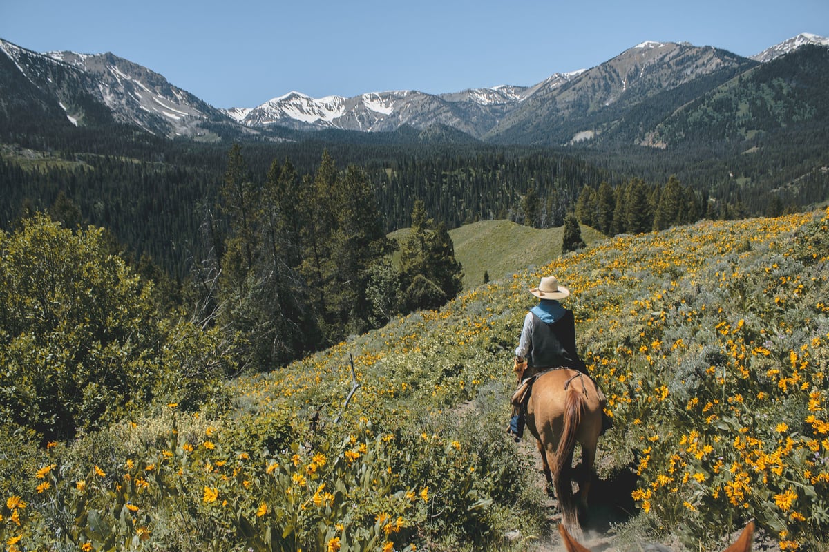 A woman riding on horseback in the mountains with wildflowers all around
