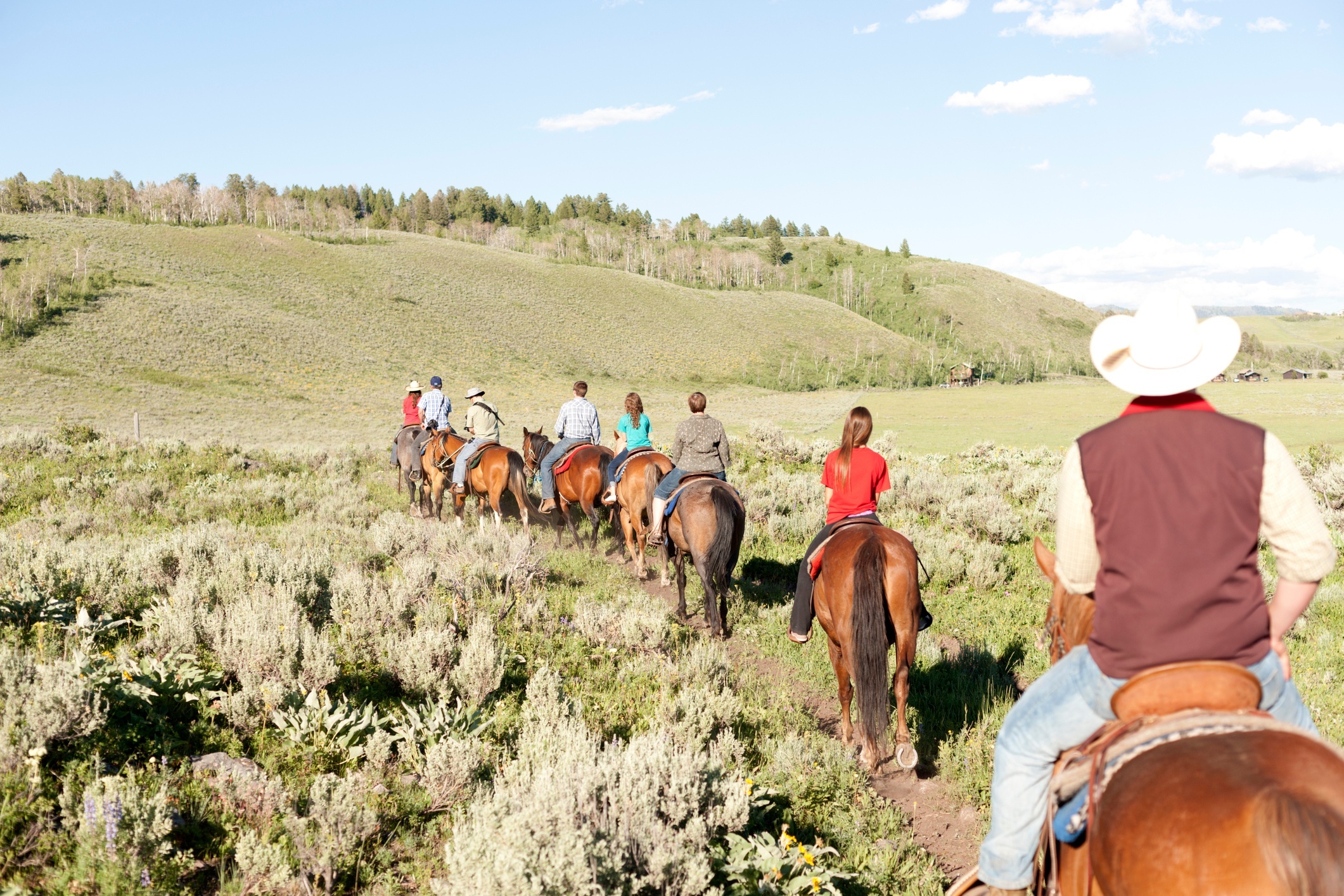 a family riding horses on a Montana guest ranch