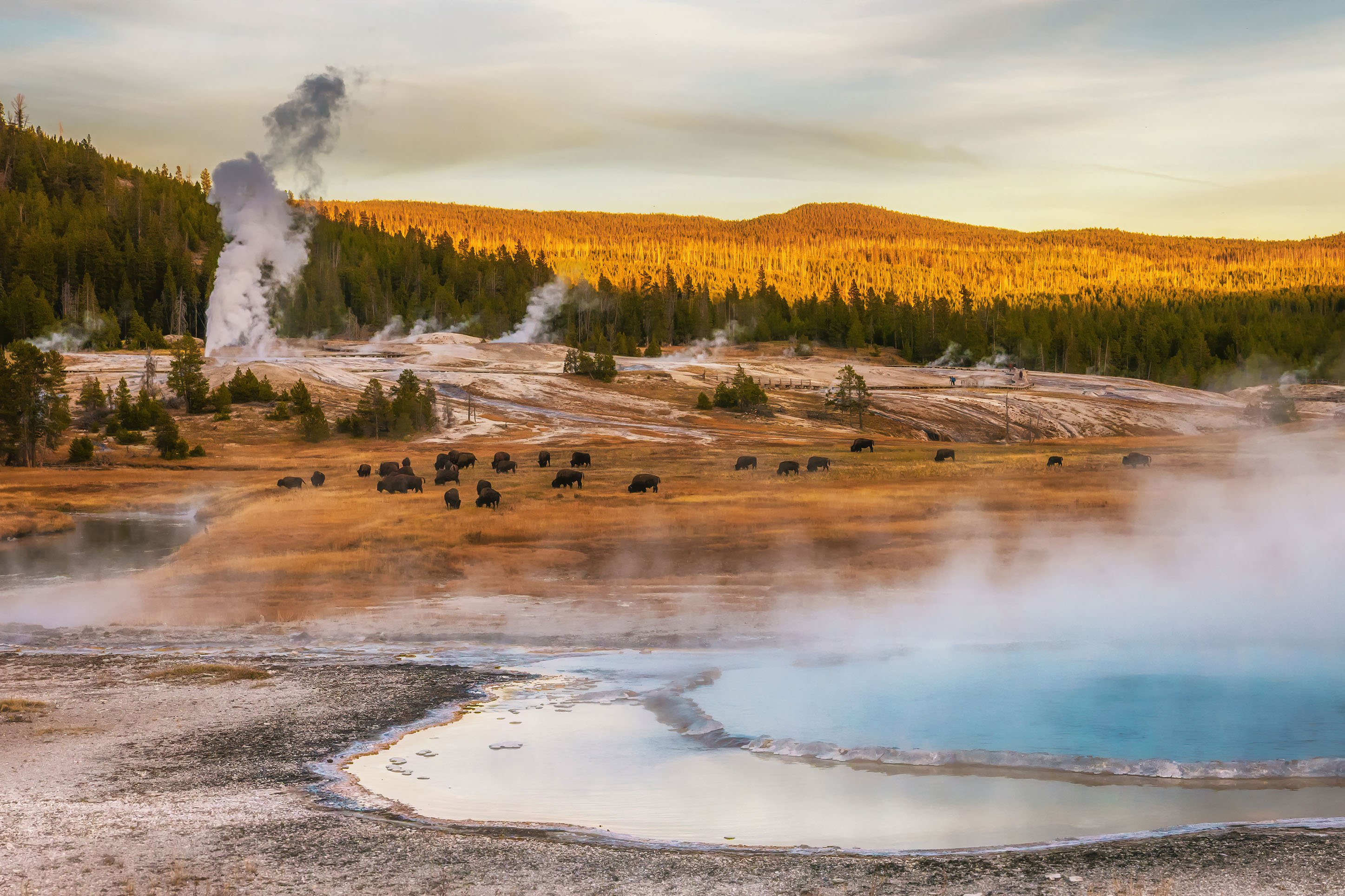 Geyser Montana Downtown