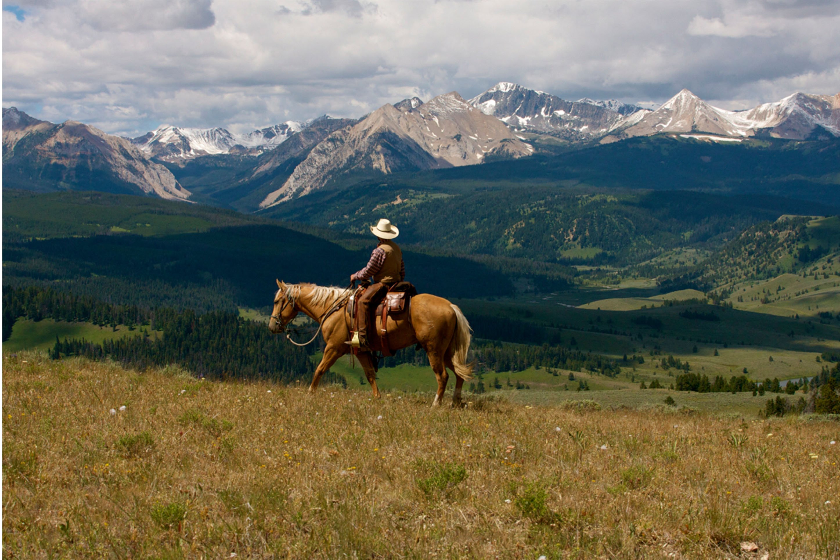 Cowboy on horseback at the Covered Wagon Ranch, Montana. 