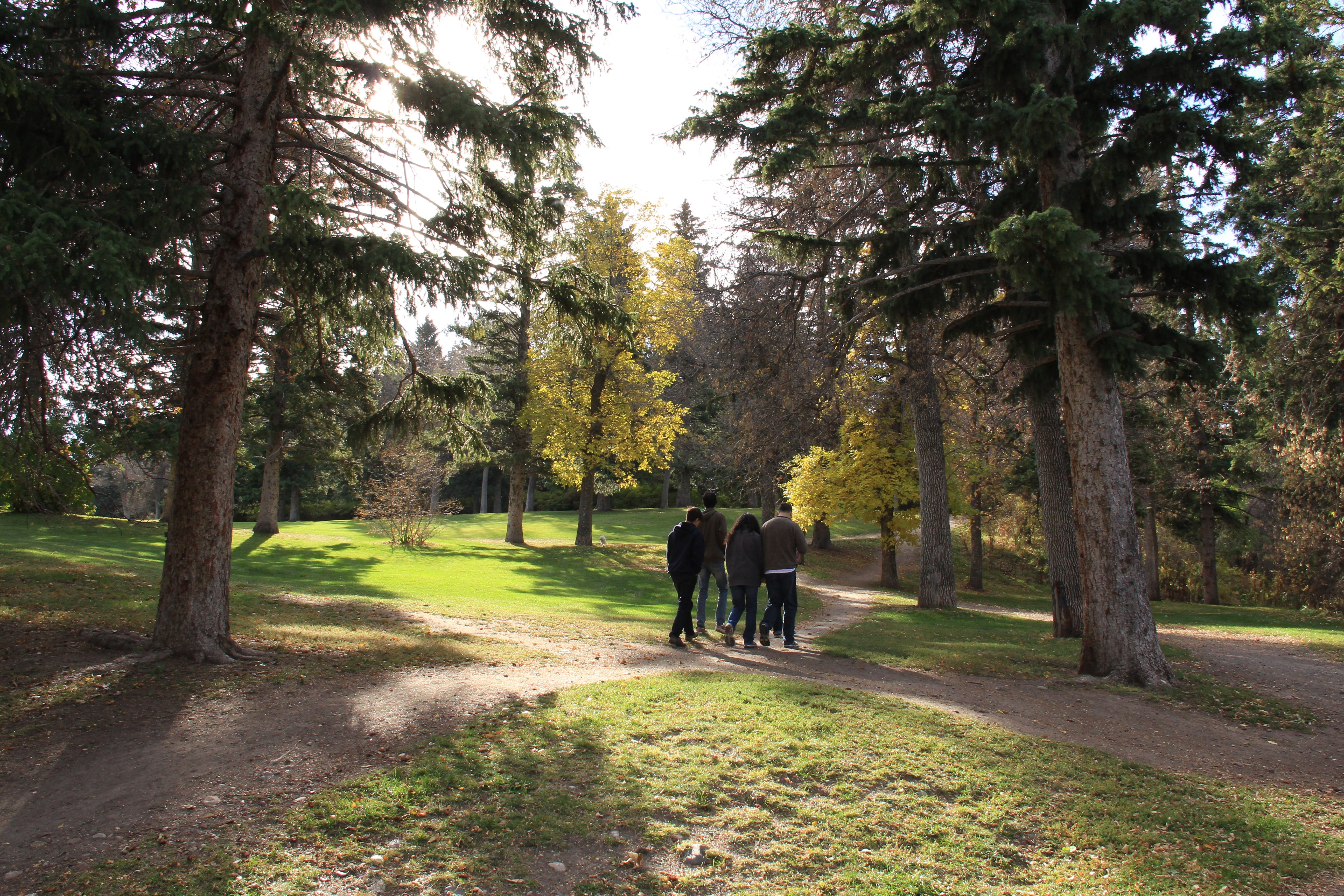 The Top 32 Best Local Parks in Bozeman