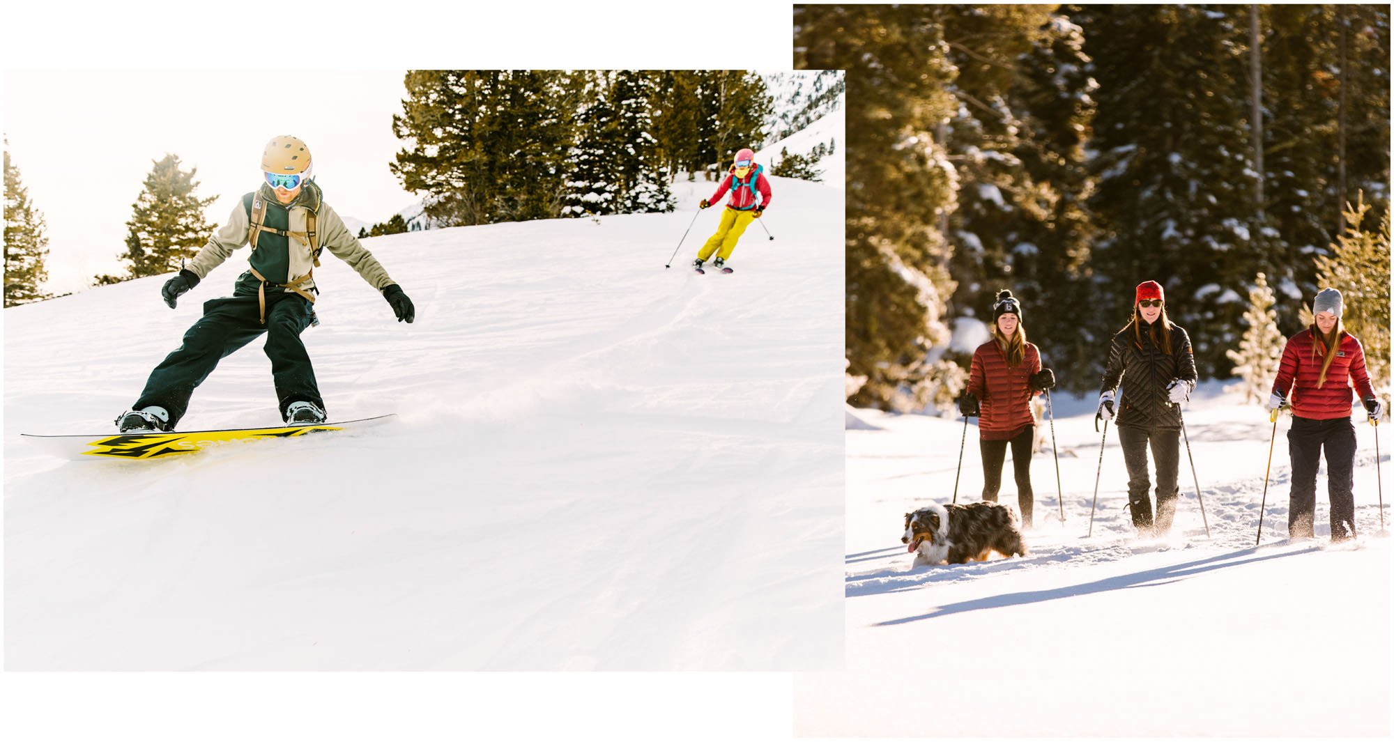 Lady Snowboarding and a group out cross-country skiing