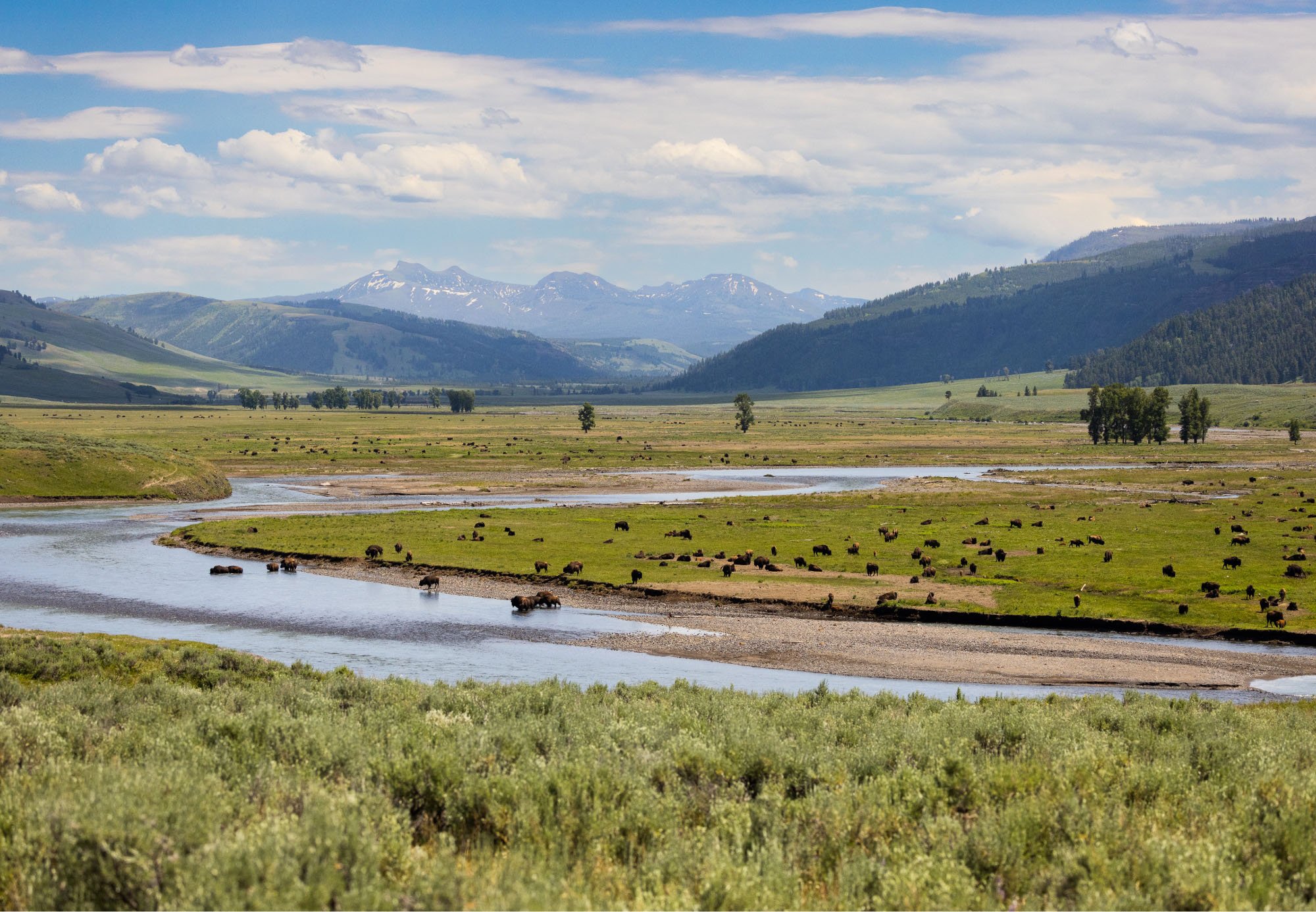 VBZN_Blog_Top 10 Things to Do in Yellowstone