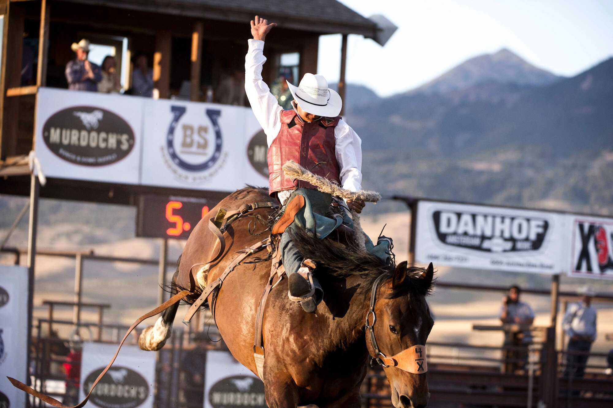 Cowboy riding a bucking horse at the Bozeman Stampede